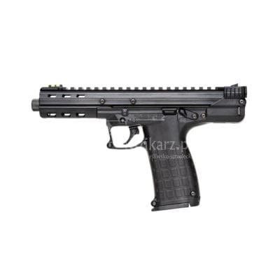 kel-tec-cp-33.jpg
