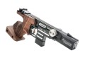 Pardini-HP-GOLDGUNS.jpg