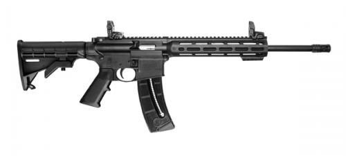 S&W MP15-22.jpg